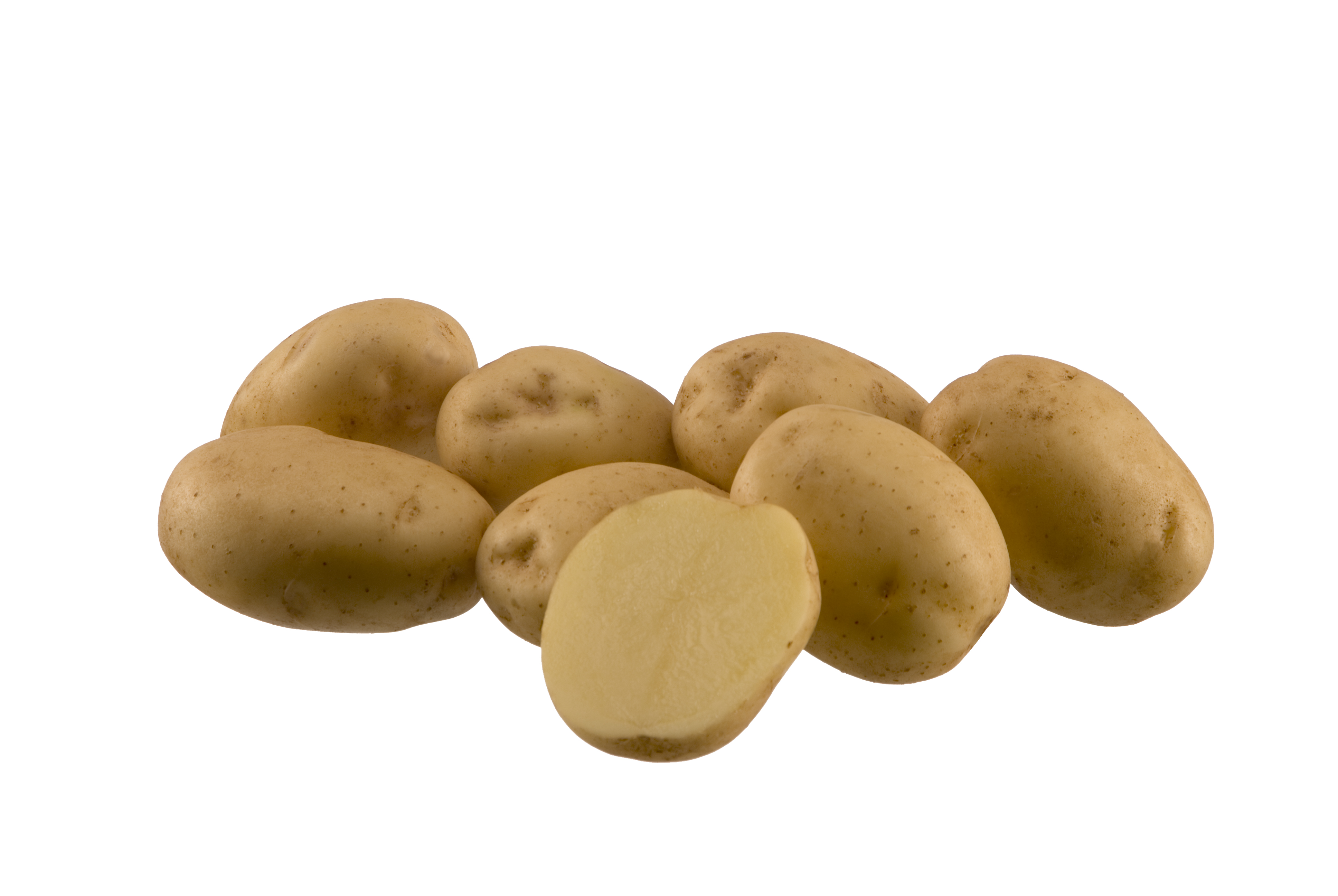 Ривьера сорт картофеля